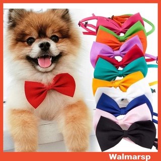 Pet Collar Adjustable Bowknot Tie Cat Puppy Dog Collars (1)