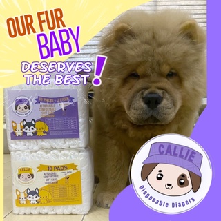 Callie Disposable Dog Male Wraps and Female Diapers