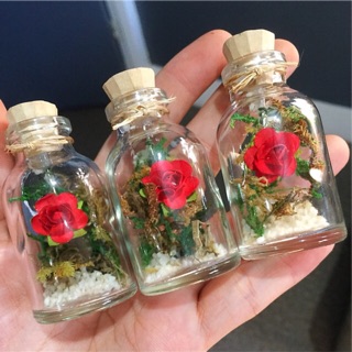 Mini Terrarium Style Glass Bottle Rose in a Bottle Souvenir Debut Wedding Christening Birthday (1)