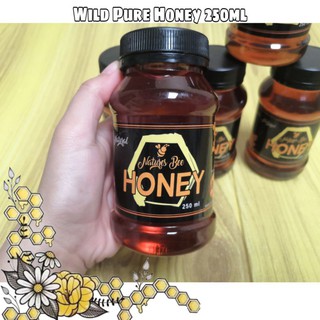 Pure Wild Honey from Mindoro 250ml