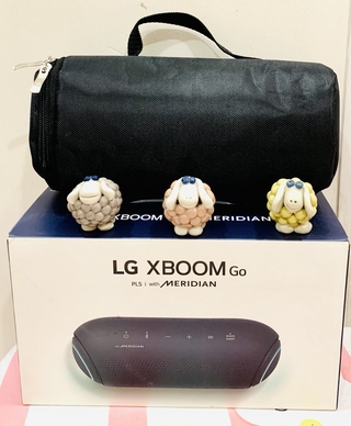 LG Xboom PL5 speaker bag