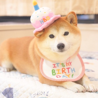 Dog Birthday Hat Pet Shiba Inu Corgi Saliva Towel Kitty Decoration Dress up Clothes Party Bib Headdr