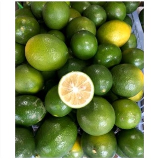 fresh lime lemon green 500g