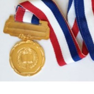 Dep-Ed Medal Medals Book And Torch 3.7CMS With Bister Pack