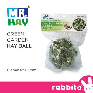 Mr. Hay Green Garden Hay Ball Toy for Rabbit and Guinea Pig
