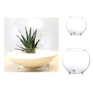 Cute Tripod Bracket Round Glass Vase Hydroponic Glass Vase Flower Home Decor