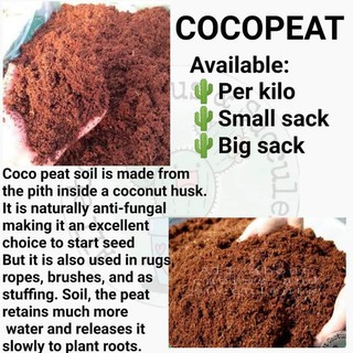 Cocopeat soil 1 kilo