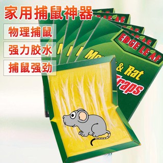 [ACC SHOP] Mouse Trap Thick Board Sticky Glue Adhesive Mousetrap
