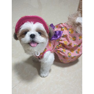 Adorable Pet Hq Dress with Hat