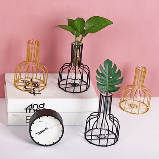 【Ready Stock】❡❀✑Nordic Wrought iron hydroponic Plant and Flower Holder vase