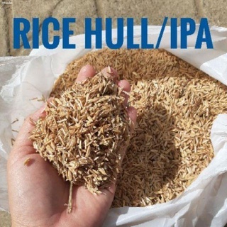 shirataki rice✟Fresh Rice hull Ipa 1 liter