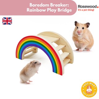 Rosewood Rainbow Play Bridge for Hamsters