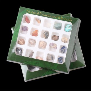 Rondaful Polished Healing Natural Crystal Gemstone Ore Fossil Set Ornament (5)