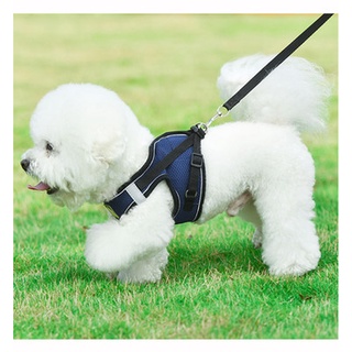 New dog chest strap vest pet leash reflective breathable dog rope Pomeri bear dog rope