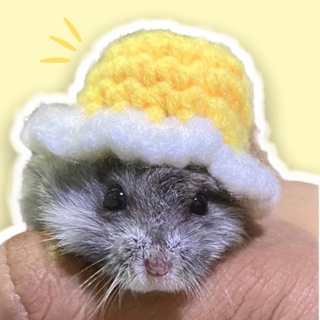 【Ready Stock】﹊▼♞Hamster hat crochet adjustable (3)