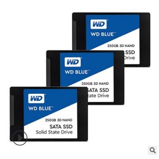 ´･ω･West Data (WD) Blue Series 250GB SSD Solid State Hard Disk (4)