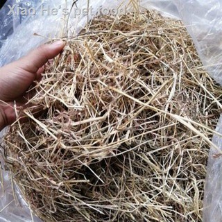 ⊙Stargrass hay for rabbits Guinea pigs lovebirds HANGGANG 1KG PER ORDER LANG PO