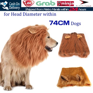 Christmas Funny Cute Pet Cat Costume Lion Mane Wig Cap Hat for Cat Dog Halloween Christmas Clothes