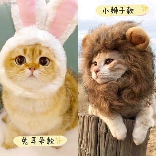 Dog ear headdress net red pet cat lion headgear cat cat hat cute birthday ornament headdress dress u (5)