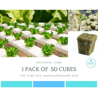 Rockwool Cubes 25mmx25mmx30mm for Hydroponic/Aquaponic Soilless Planting (Pack of 50 Cubes)