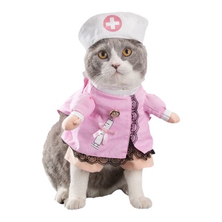 △▧Spring and autumn pet cat costumes cute funny funny costumes funny cats and dogs clothes standing (8)