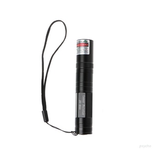 Psy Professional Green Light Laser Pointer Pen 5mW 532nm Burning Match Visible Beam