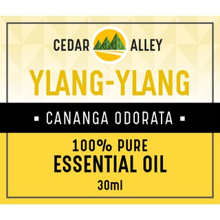 Ylang-ylang Pure Essential Oil 10ml MINI / 30ml