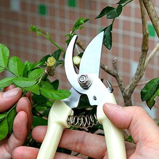 Pruning Shears Cutter Home Gardening Plant Scissor Branch Pruner Hand Tool Pruning Shears Flower