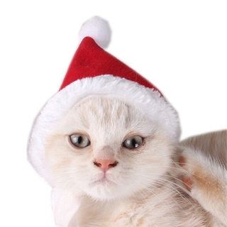 2PCS Pet Cat Dog Santa Hat + Scarf Christmas Red Costume (7)