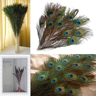 COD!Gregorio 10 Pcs Cool Gifts DIY Peacock Eye Tail Feather for Masquerade Decoration Party (2)
