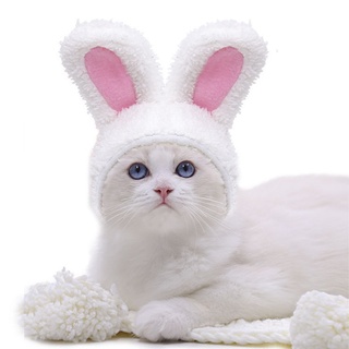 cc Funny Pet Dog Cat Cap Costume Photo Props Headwear Warm Rabbit Hat New Year Party Christmas Cosplay Accessories (7)
