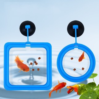 Feeder Feeding Floating Station Food Float Aquarium Fish Tank Circle Ring Square