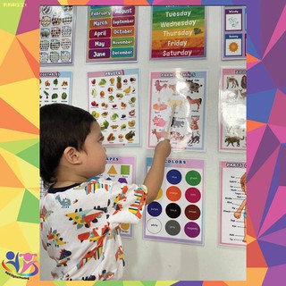 ☾Laminated Learning Charts for Kids and Babies (Bundled)