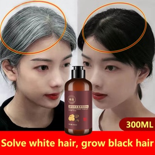 Black Hair Shampoo Herbal Natural Polygonum Multiflorum White Hair Blackening Botanical 300mL