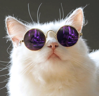 Fashion cool accessories protective glasses pet glasses cat sunglasses, anti-ultraviolet glasses for pets