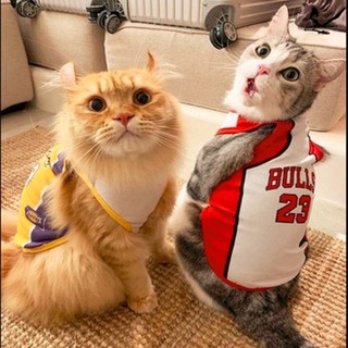 Pet Dog Sport Football Basketball Mesh Vest Puppy Cat T Shirt Clothes