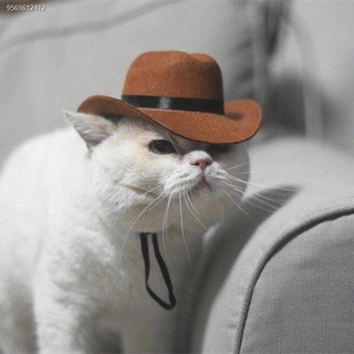 Cat Cowboy Hat Pet Head Accessories Western Cowboy Hat Photograph Dog Small Dog Helmet Straw Pet Hat