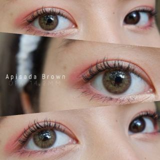 Apisada Brown ✧ Sweety Plus