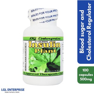 Insulin Capsules - Blood Sugar Management- Energy Booster - 100 Capsules - 500mg