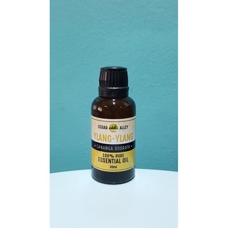 Beauty♞Ylang-ylang Pure Essential Oil 10ml MINI / 30ml