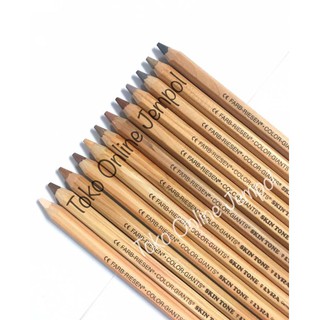 Skin TONES PENCIL SET 12 PCS 421994 Lyra Leather Color Pencil ATK1107LY