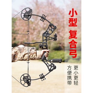 T2Compound High-Precision Arrow Professional Archery Suit Small Non-Military Xing Recurve Shooting S