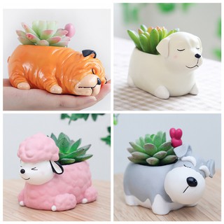 Creative Cartoon Dogs Flower Vase Puppy Resin Planter for Succulents Cute Corgi Mini Flower Pot
