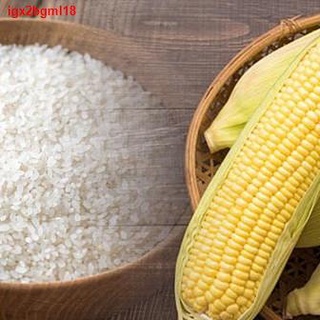 ๑☜Corn Rice Bigas Mais Diet Rice Corn Grits 1kg