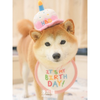 Pet HatsDog Birthday Hat Pet Shiba Inu Corgi Saliva Towel Kitty Decoration Dress up Clothes Party Bi