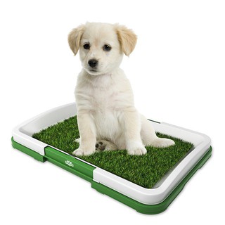 [Crazy Pet]Portable Puppy Training Pad Puppy Potty Pad 3 Layer Indoor Outdoor Toilet Green Grass