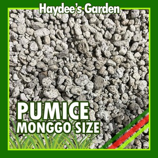 Pumice Monggo Size by Haydee's Garden 1kg