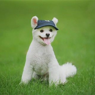 Dog Sun Hat Baseball Cap Pet Hat Teddy Corgi Hair Fighting Dog Hat Small Dog Large Dog Peaked Cap Pet hat (5)