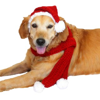 LIULIU 2 Pcs Christmas Dog Hat and Scarf Xmas Knitted Pet Costume Warm Winter Cat Headband Protector for Small Medium Large Dogs Golden Retriever Labrador