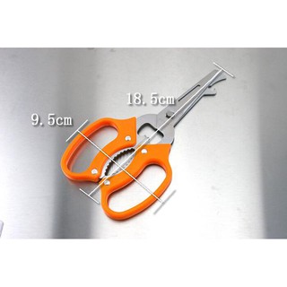 KandP Stainless Steel Multipurpose Super Useful Kitchen Scissor